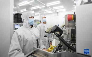 靠譜服務、技術推銷、標準開路——一家光通信企業的“出海秘籍”